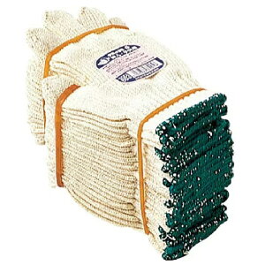 120oi10_[Xjӂ 663 ̉STCYi{jREg₷߃TCY