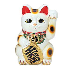 常滑焼招き猫:貯金箱 白 小判付招猫千万両 10号 左手
