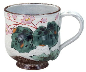 Jā@ԗ}OJbv HC(10)J aH   lC Mtg Zbg 蕨 j/j/Ԃ