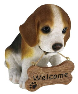 W welcome{[hTC@hbOI[ig@X⌺ւ̃fBXvCɁEE