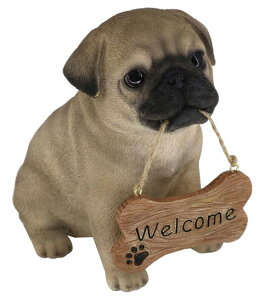 W welcome{[hTC@hbOI[ig@X⌺ւ̃fBXvCɁEE