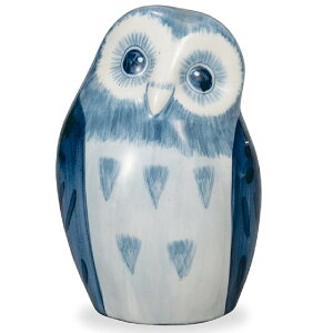 ��J�� 6���� ���t