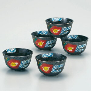 ��J�� �K�m�q ���o�� ���֎R���ԁi5�q�g�j