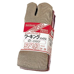 25i5g×5jӂ 748 tBbg[LO\bNX ^r^ J[ 5g yKTCY 24cm`26cmz