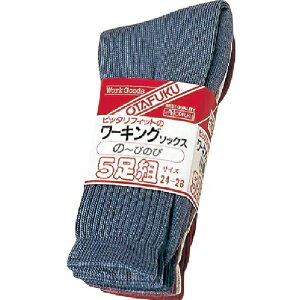 25i5g×5jӂ 749 tBbg[LO\bNX  J[ 5g yKTCY 24cm`26cmz