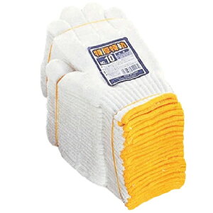 120oi10_[Xjӂ 10 REt[TCY