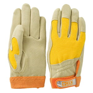 10ogi1o×10jӂ D523 v}WbNbX