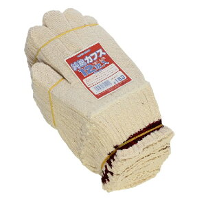 120oi10_[Xjӂ SP-153 100JtX R t[TCY