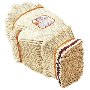 120oi10_[Xjӂ 675 rbOeLTX100iJtXtj R t[TCY