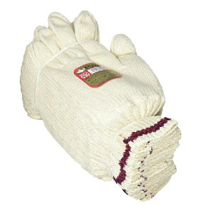 120oi10_[Xjӂ 650 fbNXA R t[TCY