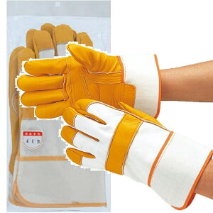 5ogi1o×5jӂ 415 vDp t[TCY