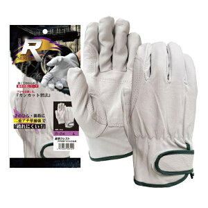 10ogi1o×10jӂ R-24 ؊vNXg Aet }WbN~ߎ