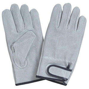 10ogi1o×10jӂ 462 v}WbN~ t[TCY