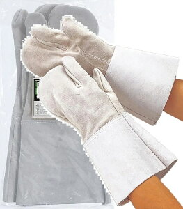 10ogi1o×10jӂ 461 HK-3wnڗp t[TCY