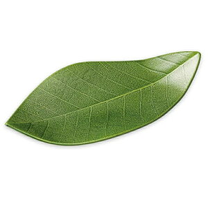 越前漆器・越前塗 雅乃 木の葉皿 (グリーン)食洗機対応