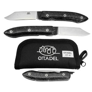 CITADEL V^f CT-4 nmCRS |bVL