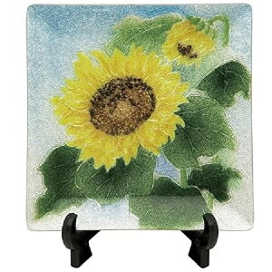  M 44 (c120mm×120mm) Ђ܂