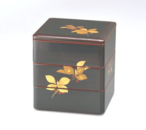 ��Î���E��Óh 6.0�ؐ� �O�i�d�@������@��Ԃ�����