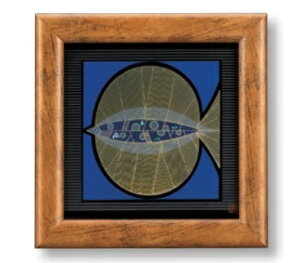 zO@pl@/Fish@ؘgCeA@Vzj@J/JXj@VX@z@q 