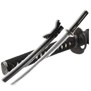 KEꍇ tn pӏܗp̑(͑E)Ő^ł͂܂