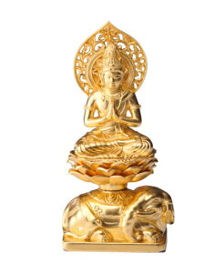 ��������d�グ�@������15cm�@ ������F(���E�ւєN���܂�̂����{���j