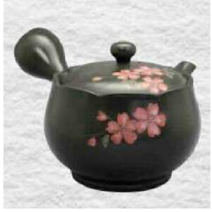 �튊�� �}�{ �|�t��u�� �s���N���v240ml (�іԒ�����)