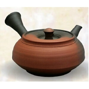 �튊�� �}�{ �v�K��u��q�� �؈����v120ml (���퐻������)