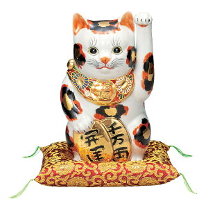 J CeA uEIuWF 8L O zct