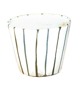 【信楽焼】 モダン十草ロックカップ2個セット