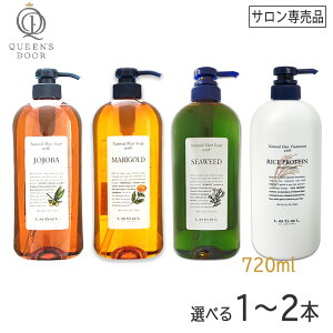 q60ryIׂ2{܂/zmLebelnx@i`wA\[v EBY Vv[ 720ml^ wAg[gg 720ml@Tꔄi   wAPA AR VR }[S[