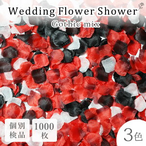 t[V[ 1000  EFfBO SVbN ubN bh    KN 3FMIX Ԃт  F k uC_  t[y^ tHgEFfBO Cxg a