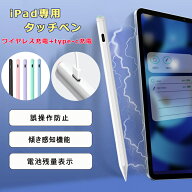 【ワイヤレス充電+Type-C急速充電】タッチペン iPad ペンシル スタイラスペン 極細 iPad A16 第11世代 98…