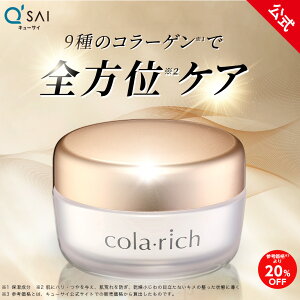 yő23%OFFzyz L[TC Rb` EX uCgjOtgWF 55g(1J) ( I[CWF I[C ϐ t et eIC N[ pbN 邨