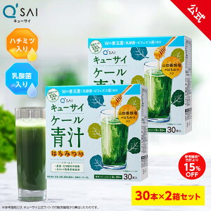 y15%OFFzyz L[TC P[` ݂͂ vXPʋ (30{) 2Zbg ( YP[ ݂͂ ݂₷ ` P[ _ Pʋ X[p[t[h Nf NHi  