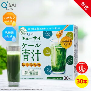 y10%OFFzyz L[TC P[` ݂͂ vXPʋ30{ ( YP[ ݂͂ ݂₷ ` P[ _ Pʋ X[p[t[h Nf NHi   ޗ 