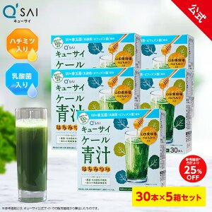 y25%OFFzyz L[TC P[` ݂͂ vXPʋ30{ 5Zbg( YP[ ݂͂ ݂₷ ` P[ _ Pʋ X[p[t[h Nf NHi   