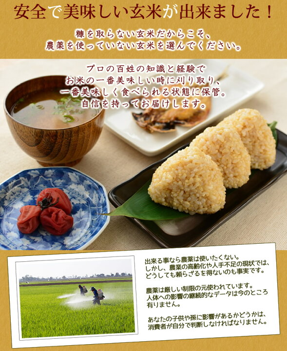 楽天市場】ヒノヒカリ 玄米 福岡県糸島産 農薬未使用 10kg 送料無料 