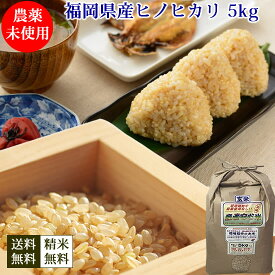 ヒノヒカリ　玄米　福岡県糸島産　農薬未使用　5kg 送料無料　農家直送 令和5年産