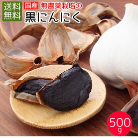 熟成発酵　黒にんにく 500g(50g×10袋)　送料無料　国産　熟成発酵　国産(福岡県産)　無農薬・無化学肥料栽培