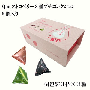 Quaストロベリー3種プチコレクション(9個入り) 当店発世界初 フリーズドライ いちご チョコ 染み込んでいるから常温OK