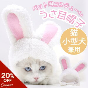 y20%OFF_X[p[Z[^z Xq L ^ 蕨  Xq  sN ӂӂ ݂ RXv }WbNe[v \ 킢 ʐ^Be ybgpXq RX`[ 