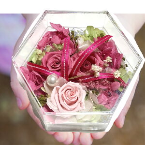 ԃMtg t[{bNX yK̘Zp` NX^BOX sNzvU[uht[ BOX 12cm  o   vU vU[uh  Mtg{bNX  av[g 