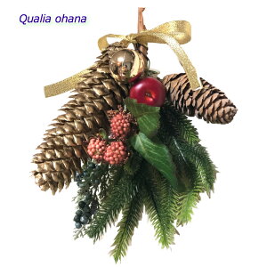 NX}XǏy傫ȏڂXbO z30cm O[ hCcgEqR[  Rf ؂̎ ԃO[ IV ͂Ȃ v[g Ǌ| Mtg CX^f l