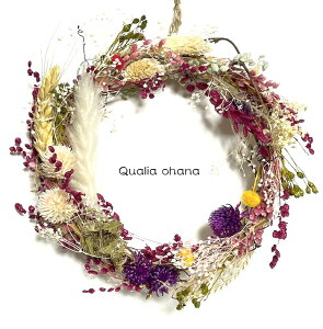 hCt[ [X Rf Ǐ 15Z` ȃhA i`  Rh IV v[g Ǌ| Mtg CX^f l  j   v`M