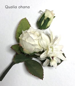 õRT[W ̓ tH[} ^E ANZT[ ԏ u[`  i u[P  st   O[ i` GKg ZX CX^f ؂₩