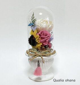 y ԁz 19cm 9×9cm [Y Ђ܂  䋟   d  @ ~ V~ N@v  O O  vo vU vU[uh t[ AWg 