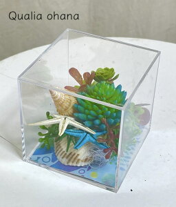BOX AA[g CeA NX^BOX v`Mtg T{e 7×7×7 ԃMtg ސE   Ԃ LO O[  v炸  i Mtg  CX^