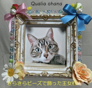 ybg̑ԁyԂƃr[ỸtHgX^hzʐ^ r[Y LL vo  ̋  ㎿ Ԃ̎ʐ^ A[eBtBVt[ ͂Ȃ  