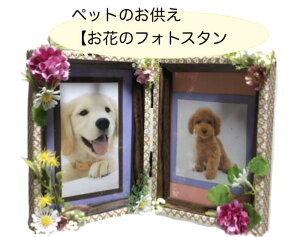 ybg̑ԁyԂ̃tHgX^hzAJ[ht sNn u[n CG[n  14.5×22cm  ʐ^ 2 vo  ̋ ʂ ㎿ ̉ Ԃ̎ʐ^