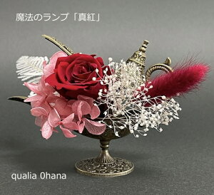 yAW̖@̃vz vU[uht[ Mtg  nCZX a LO {݂ Vj JXj ԂKN ou^gvoru u[vI ANBOX 